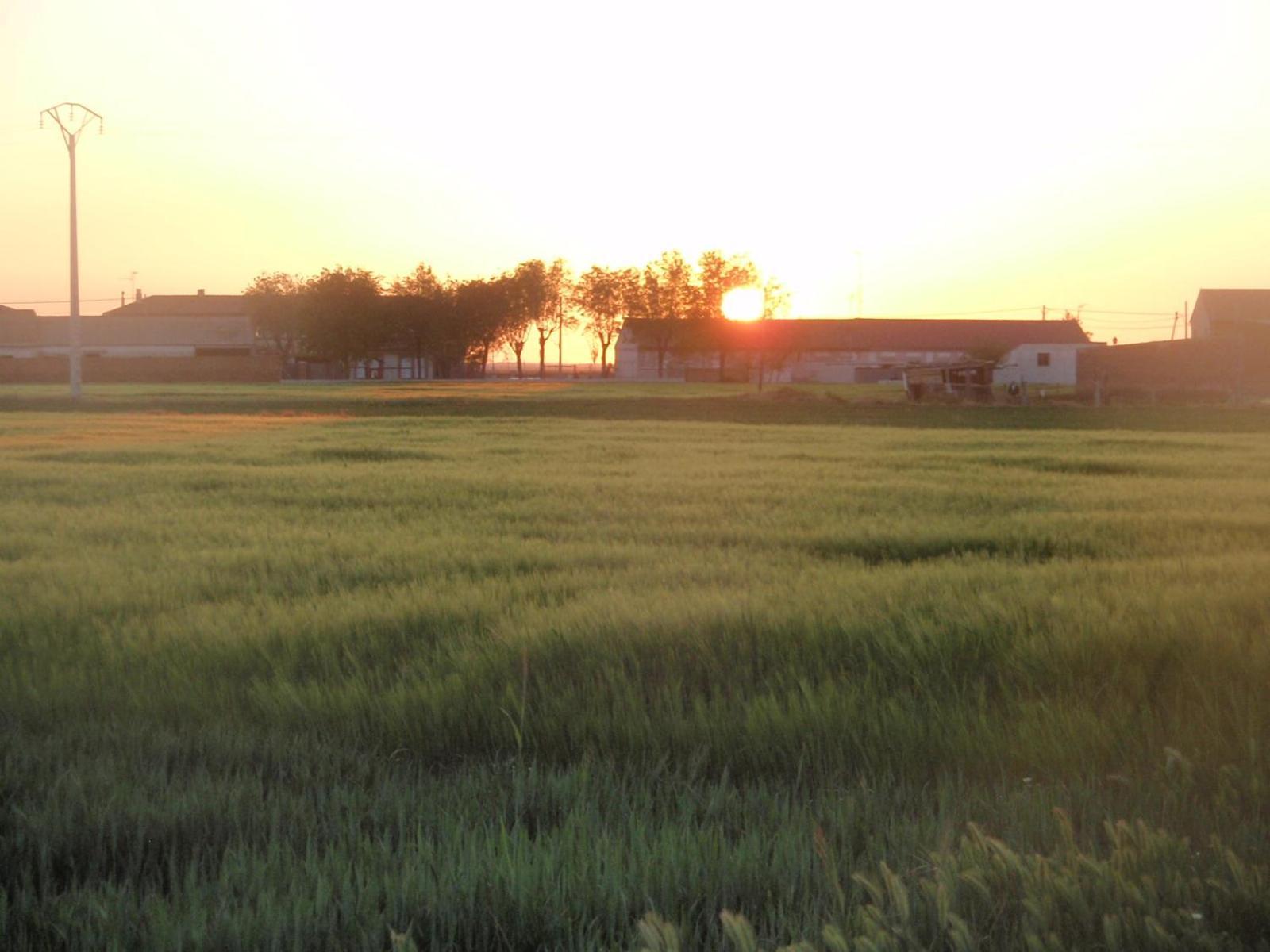 Casa Rural La Sastreria De Adanero Екстер'єр фото